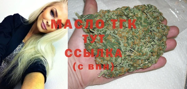 мет Ельня