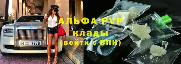 мет Ельня